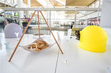 為忙碌的機場增添一分溫馨與可愛 寵物品牌pidan現身廈門機場